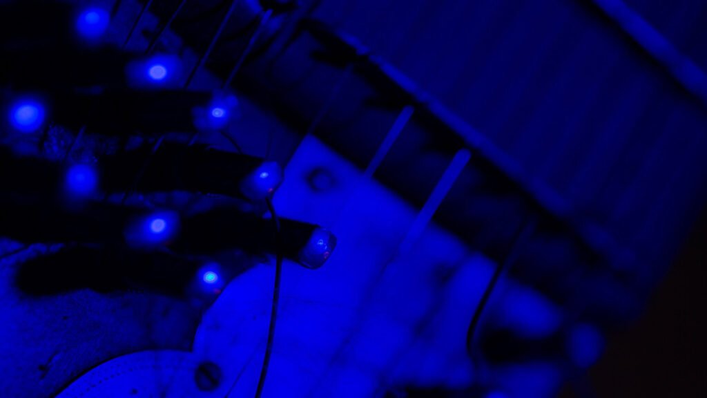 davidweekdecember10 kc